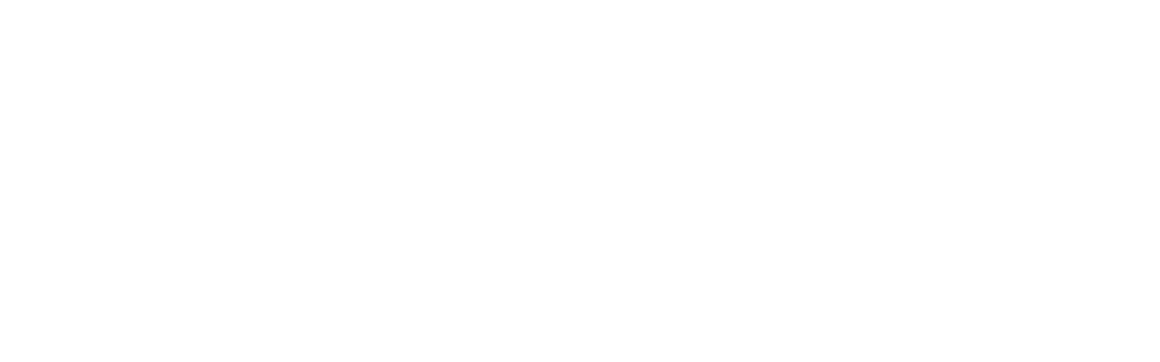 Gulf Skies Virtual Airlines